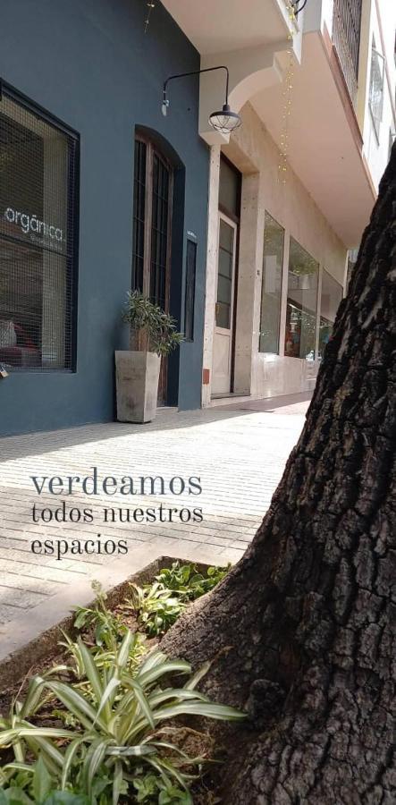 Alojate Mendoza - Departamento "Josefa" Terraza Y Parrilla Apartment Bagian luar foto