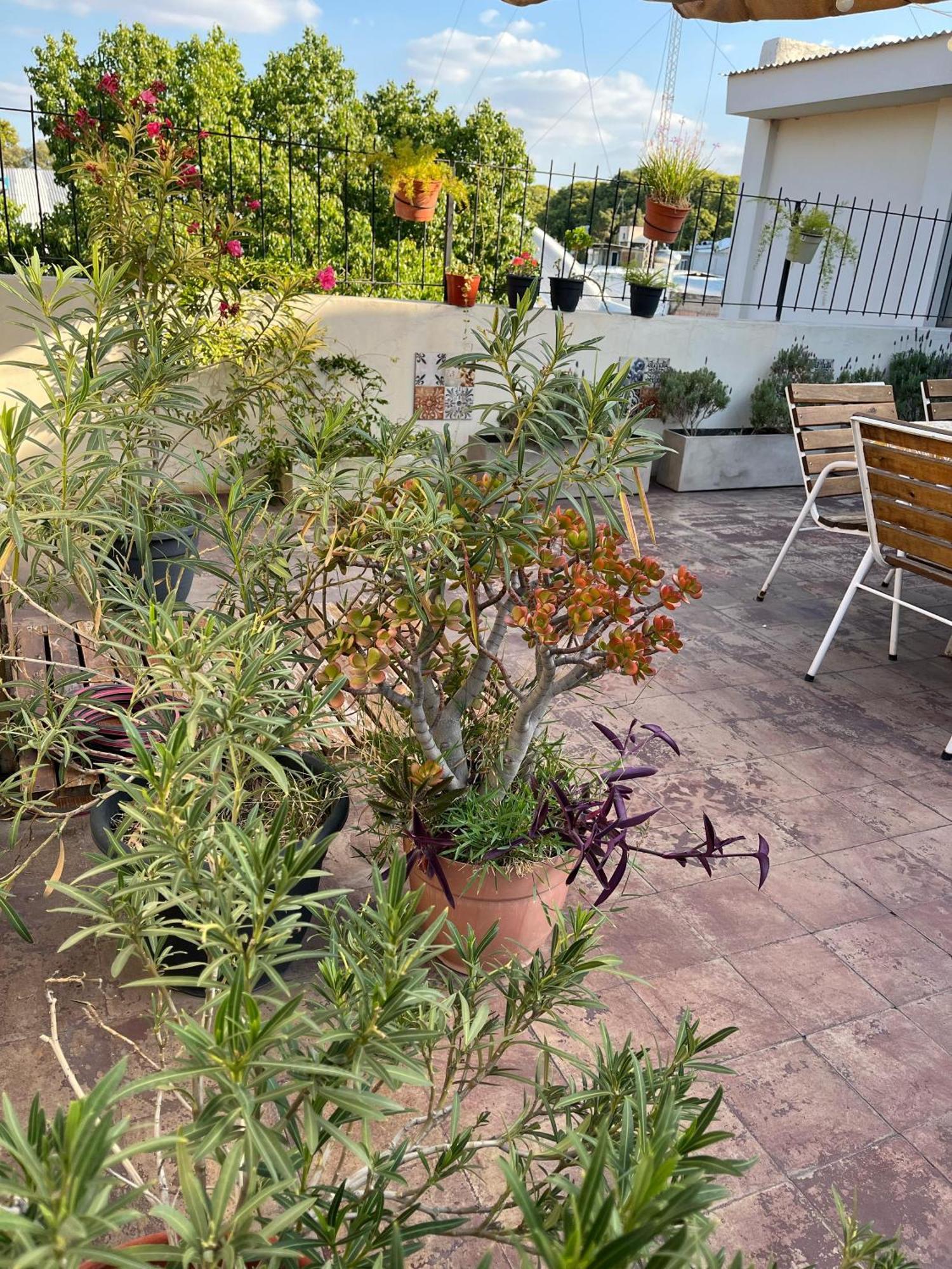 Alojate Mendoza - Departamento "Josefa" Terraza Y Parrilla Apartment Bagian luar foto
